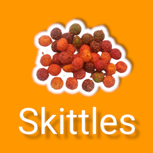 Load image into Gallery viewer, SKITTLES
